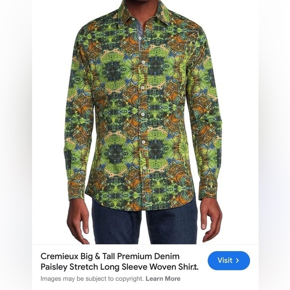 Daniel Cremieux Other - CREMIEUX Premium NWT men’s 3XB pistachio Paisley Stretch Long-Sleeve Woven Shirt
